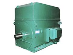 YJTGKK5002-6YMPS磨煤机电机