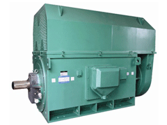 YJTGKK5002-6YKK系列高压电机